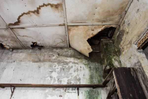 Water Damage Service in Riverside