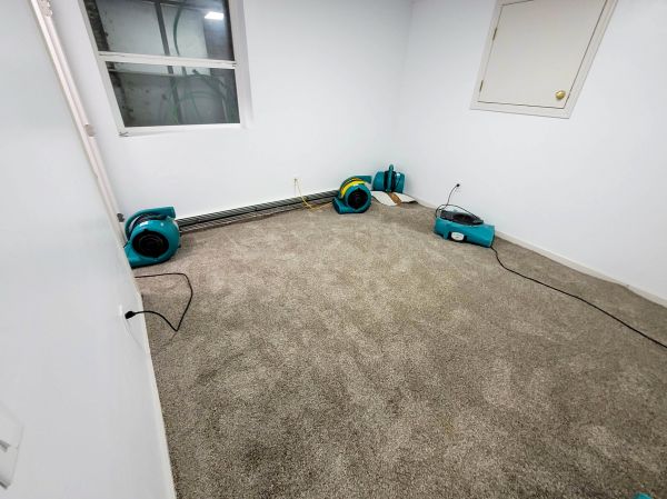 Flood Restoration Service in Riverside