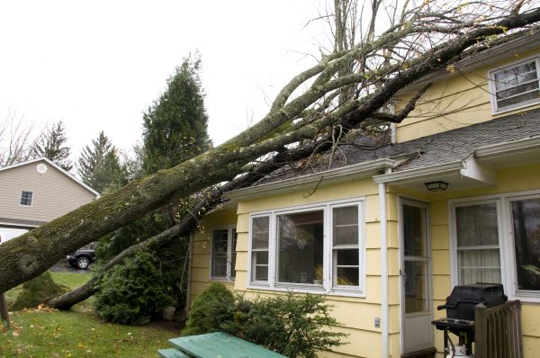 Storm Damage Mitigation in Riverside